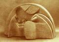 ter01.jpg
